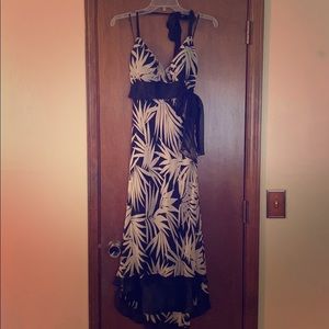 Beautiful cashe dress.